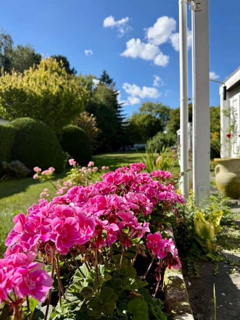 Terrasse Detail